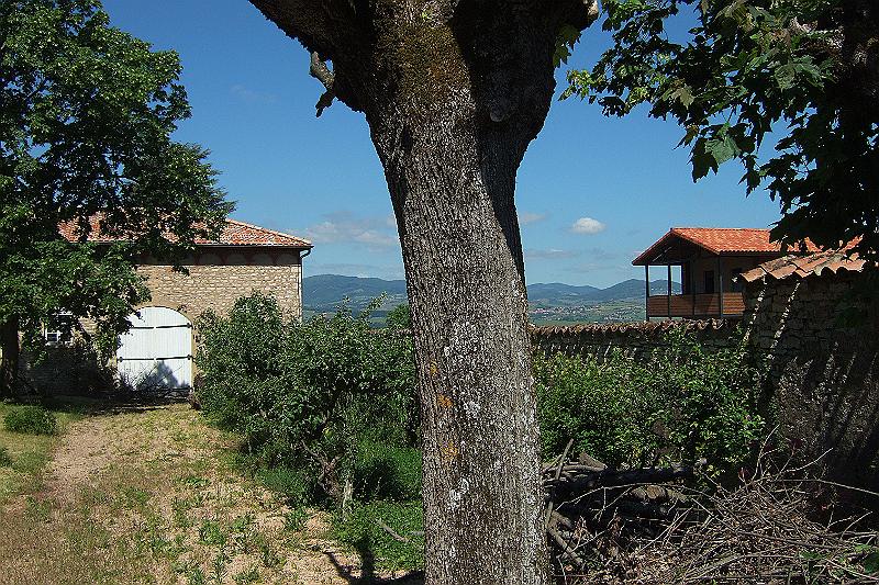2010-06- (59).JPG